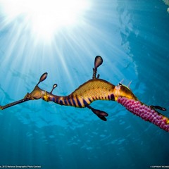 Dj BlitZz House Del Caribe(Club Version)(After Colombus Discovered the West Indisch)