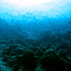 Matías Vizcaya-Underwater Set