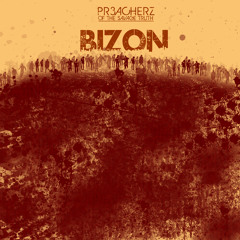 The Phoenix (biZon Instrumental Mix)