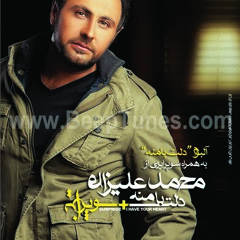 Mohamad alizade
