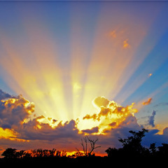 After the rain.. (Out! )