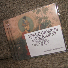 Space Gambus Experiment's "Inner Search Healing School"