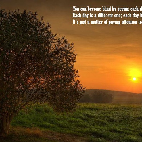 Something for me-Nikos feat.Prem Joshua