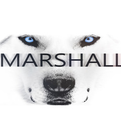 Marshall - Monster
