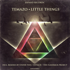 Temazo - Little Things (Under This Remix) [EXPAND RECORDS]