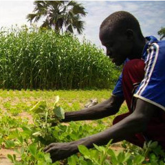 Governor Nyandeng (Warrap State, South Sudan) in conversation with Adam Thomas