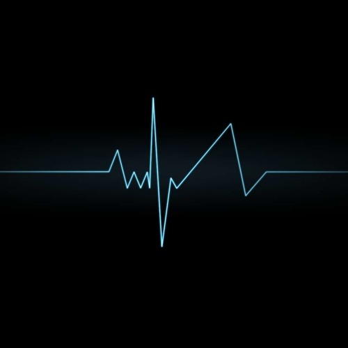 Touch The Pulse