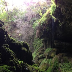 Trail Between The Trees (Demo)