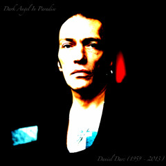 J'IRAI AU PARADIS ( A Dark Angel In Paradise - Humble Tribute to Daniel Darc 1959-2013)