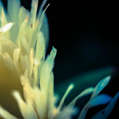 The Endless Dream (short sample)