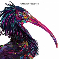 Solomun - Watergate 11 (Continuous DJ Mix)