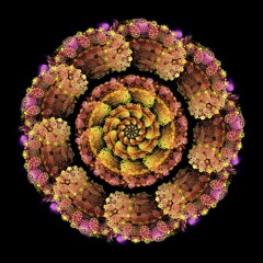 Unconventional (Original Mix) *FREE DOWNLOAD*