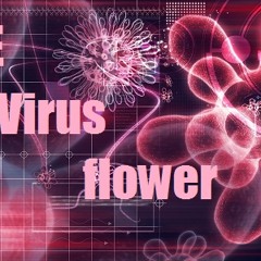 The virus flower