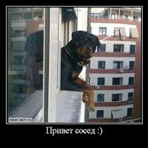 Arnius 166 - Tu Mano Kaimynas