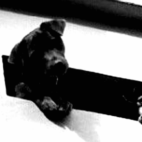 Stream Trafalgar square by MyMusicSucks | Listen online for free on