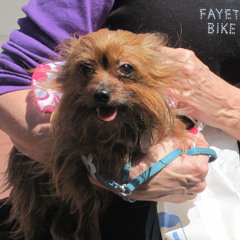 I got a little girlfriend 5a