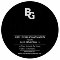 Shane Linehan & Shane Bambrick Present Basic Grooves Vol. 5