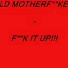 Wild Mf's - Fuck It Up (Brennan Heart Reedit)