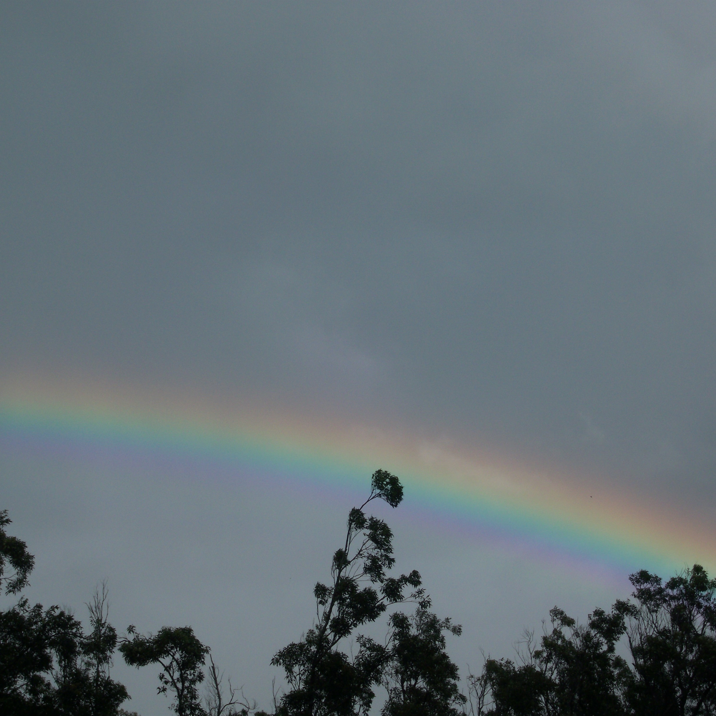 I'm Riding On A Rainbow sung by Heidi Karin Meldrum episode artwork