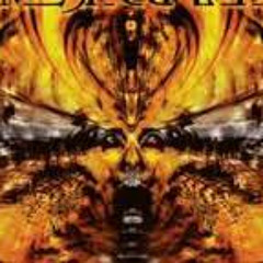 Meshuggah Acoustic Cover- Closed Eye Visuals.