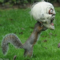 Harlem Shake (Struan Gordon's OMFGabba Edit)