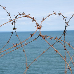 ^Drenched /drenched /drenched^