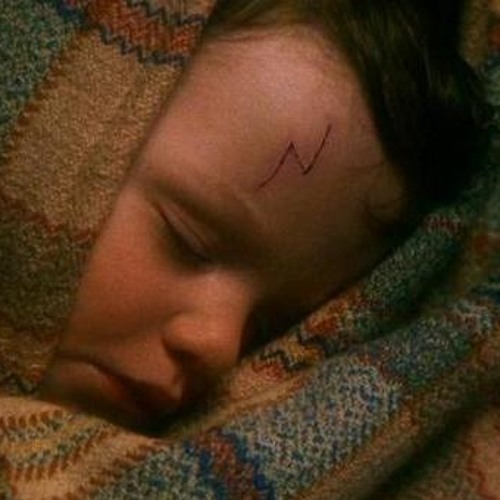 Harry Potter in 99 Seconds