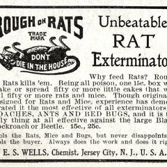 Rough On Rats - Beck Song Reader