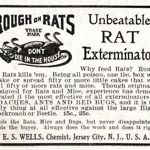 Rough On Rats - Beck Song Reader