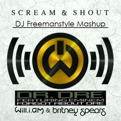 Scream and Shout at Dre - Dr Dre & Eminem Vz Will I Am & Britney Spears ( DJ Freemanstyle Mash Up )