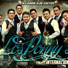 Los ppnys lagrimas de amor