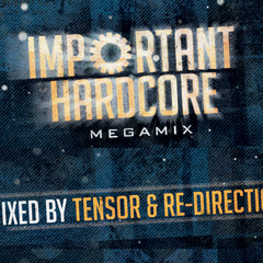 Important Hardcore Megamix by Tensor & Re-Direction