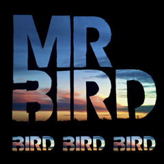 Mr Bird - Cenora Com Noz (Savages Y Suefo Remix)