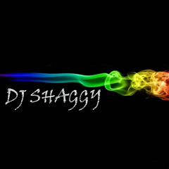 Dj Shäggy - Mix Solo Para Ti [Salsa]