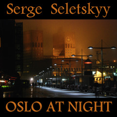 Serge Seletskyy - Oslo at night