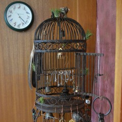 Free cage