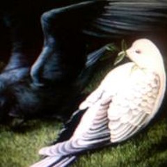 Cuervos y Palomas Blancas.