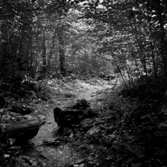Paths (Be'Lakor Cover)