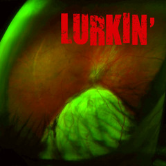 LURKIN' 2/28/13
