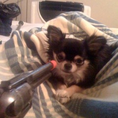 Fuzzy Buddys Radio Jingle