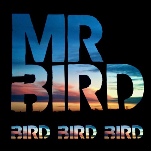 Mr Bird - Funky Albatross (Joe Revell Remix)