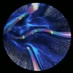 Roy Fokker & Boris Noiz - Take You