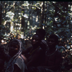 BaAka women singing yeyi (Central African Republic) [1997 21 2 76 A 1]