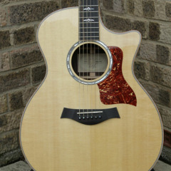 MONO-000 H2 test Taylor 814Ce