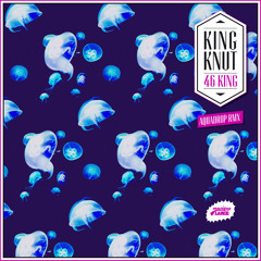 King Knut - 07. A Lil' Soul (Aquadrop Remix)