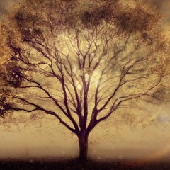 The Calm (A Home to Hide Away)-Not Complete