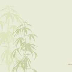 The Traveler - Kreme (DL)