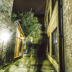 P.H.M & Chapter - Summer in the city