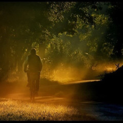 إنها تستحق !