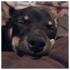 Pure Musicianship ;)